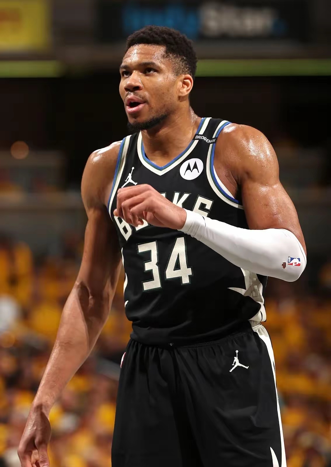 FB体育-雄鹿胜率持续上升，字母哥领军再战东部？